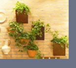 Restaurante Andiamo